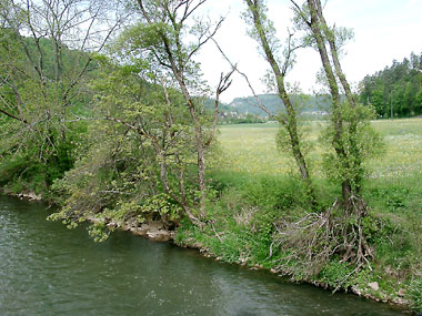 Der Neckar bei Oberndorf