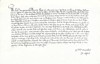 Stadtrechtsurkunde für Höchst am Main vom 12. Januar 1356 - Quelle: Wikipedia